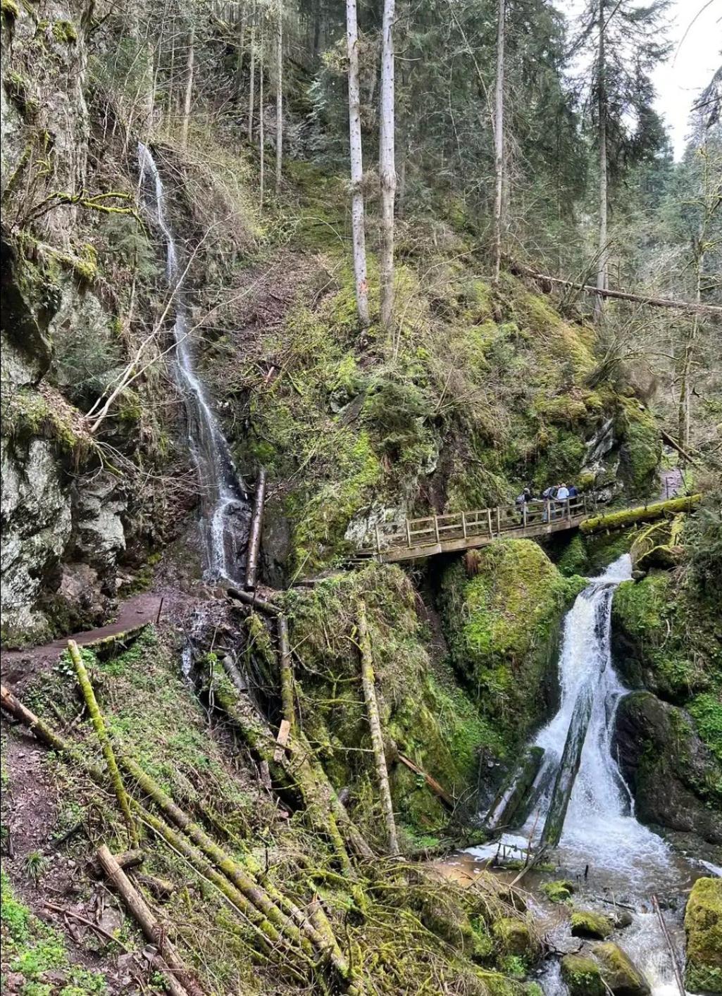 Ferienwohnung Schwarzwaldglueck Löffingen Exteriér fotografie
